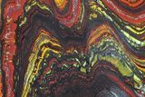 Polished Tiger Iron Stromatolite - ( Billion Years) #75817-1